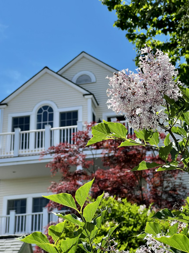 A luxurious two story Santa Cruz home with some spring flowers in the focal point